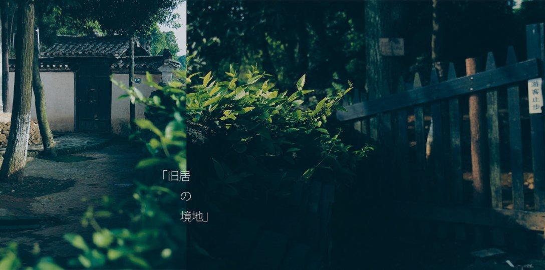 小猫钓鱼游戏龙王版有船